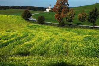 Das Bild zeigt einen Teil der Landschaft Jenhausen